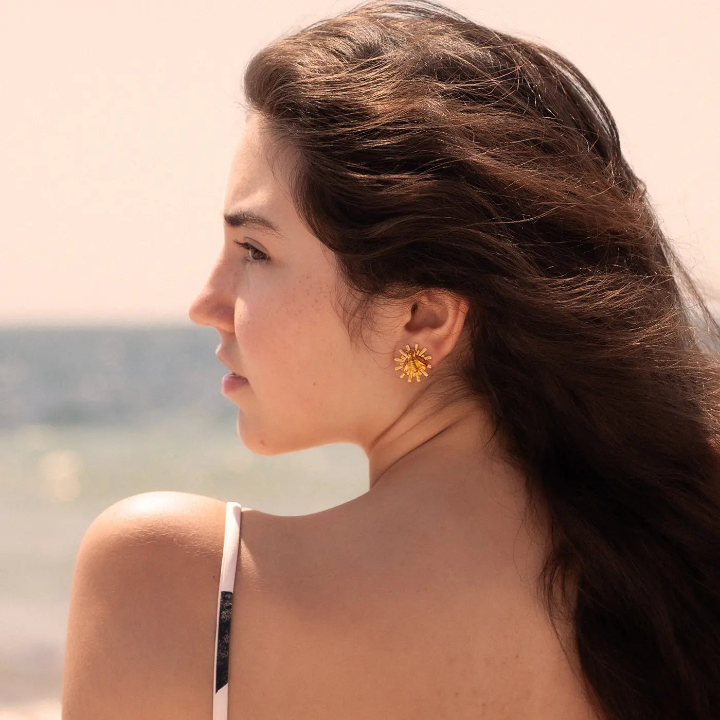 Topos Abeja Estrellados