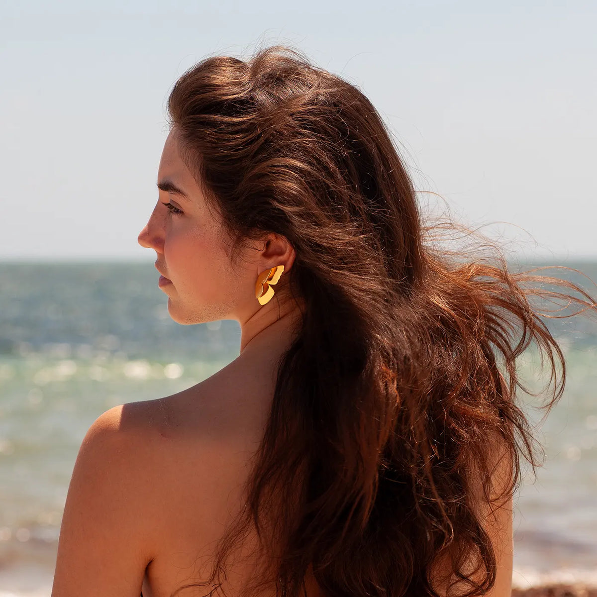 Aretes Mariposa Alma