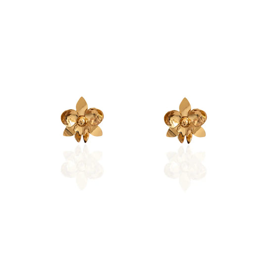 Topos Orquidea S Dorados